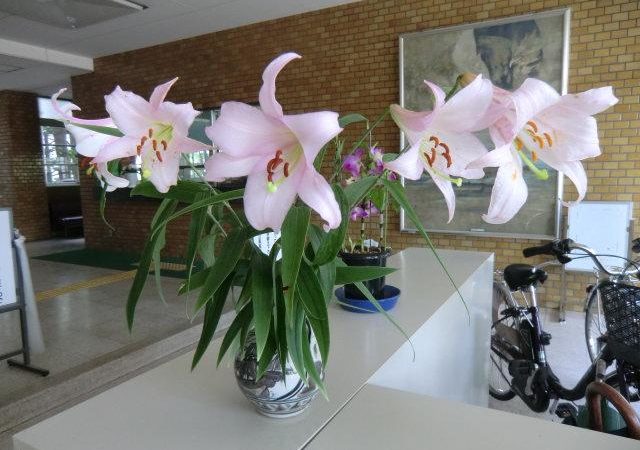 ハナショウブが玄関ホールを彩り、まぼろしの花ササユリのとてもいい香りがします